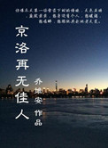 京洛再无佳人赵平津全文免费阅读